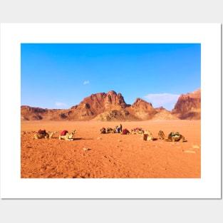 Camels in Desert Posters and Art